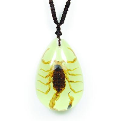 China Hot Selling Souvenir Insect Scorpion Pendant Fresh Specimen Embedded Resin Necklace Special Gifts For Boys for sale