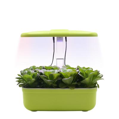 China Minimalist Hydroponic growing home system indoor small growing in the nutrient water faster than soil for sale