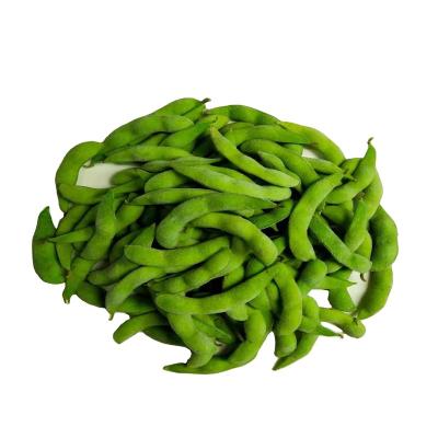 China Wholesales High Quality Organic Edamame Beans FROZEN Frozen Bulk Frozen Vegetables for sale