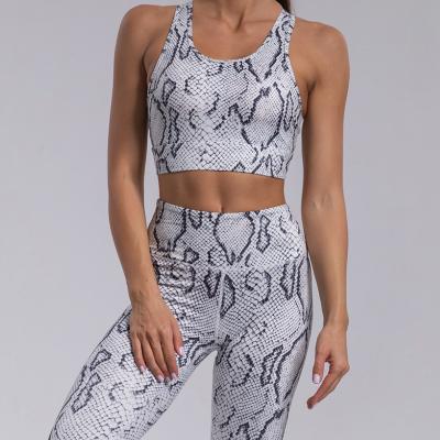 China Latest Fitness Clothing Activewear Polyester Women's Breathable Gym Wear 2 Pieces Set Yoga Fitness Set Yoga Woman Snakeskin Gym Fitness Set for sale