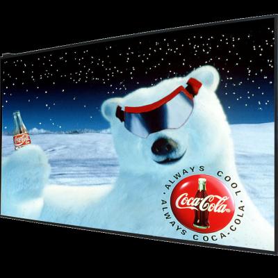 China Business service factory shop show 49inch replacement lcd panel customized backlight led semioutdoor shop window display for sale