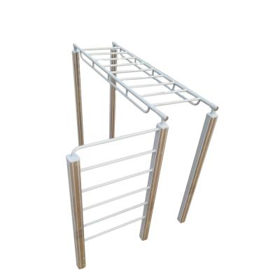 China Strengthen Arm Factory Wholesale Outdoor Fitness Equipment Horizontal Ladder for sale