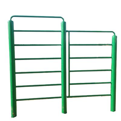 China QF-LJ005 China Supplier Good Quality Outdoor Fitness Equipment Ladder Horizontal Wall Bars for sale