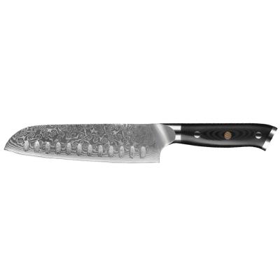 China Durable 67 Layers Japanese Kitchen Knife Handle G10 Material Damascus Steel Can Use For Hotels And Restaurants for sale