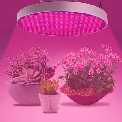 China Switch Manufacturers Hot Wholesale Indoor Plant Full Spectrum Led Grow Lights For Grow Tent Greenhouses Flowers for sale