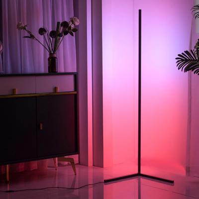 China Modern Nordic Remote Control Color Changing Position RGB LED Floor Lamp For Living Room for sale