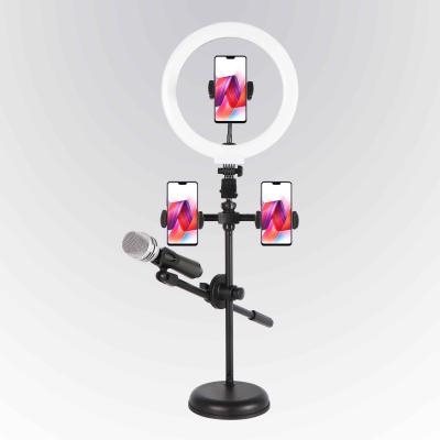 China Newly-designed 10 Inch Dimmable Light Tiktok Updated Beauty Ringlight With Cell Phone Holder And Usb Charging Live Makeup for sale