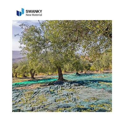 China Farm Orchard Garden Orchard Fruit Collector Harvest Netting New 100% HDPE Ground Cover Netting For Rolling Olive Net For Harvesting Olives for sale