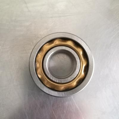 China Motor Magneto Magnetic Bearings E8 E10 E12 E13 E14 Magnetic Motor Bearing E3 E4 E5 E6 E7 For Middle East Market for sale