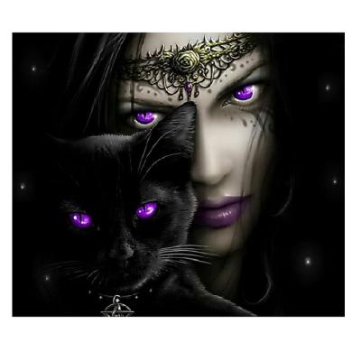 China Wholesale Modern Full Square Round Drill Vampire Woman With Cross Stitch 5D DIY Diamond Painting Handmade Full Drill Black Cat for sale