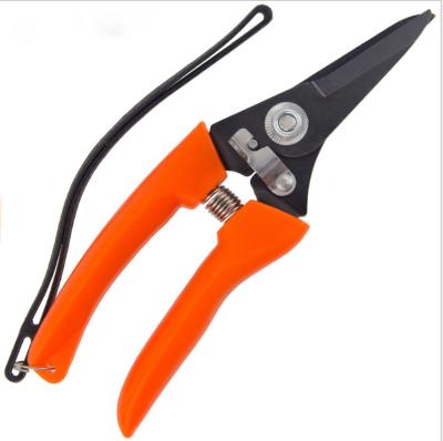 China Anti-Slip Handle Mini Pruning Garden Fruit Tree Shears Hand Pruners Ratchet Not Coated Handle Kin-002 Anti-Slip Compound Steel Baote ZHE for sale