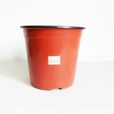 China Factory Supply Disposable Plastic Porcelain Small Pots Cheap Flower Plant for sale