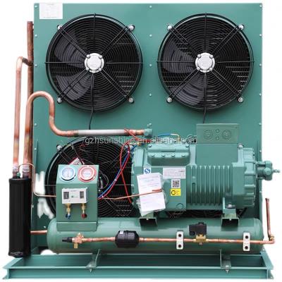 China +5~-25 degree bitze compressor air cooled remote condensing unit refrigeration compressor unit for sale