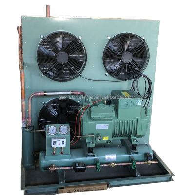 China +5~-25 Degree Hot Sale Air Cooled Cold Water Dry Compressor Unit Compressor Mall Condensing Unit for sale