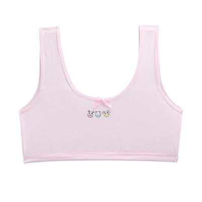 China New Girl's Bra Vest Style Double Layer Cotton 7-14 Years Bandage Suspender Children's Breathable Underwear for sale