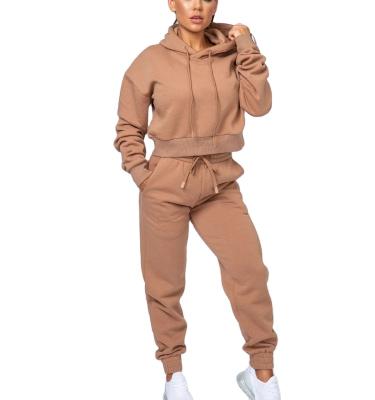 China Wholesale 85% Cotton 15% Spandex Women Winter Sweatsuit Set Factory Wholesale 85% Breathable Hoodie And Tracksuit Women Breathable Cropped Winter Tracksuit for sale