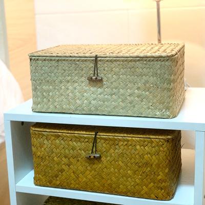 China Customized Viable Color Vegetable Plankton Rectangular Rattan Storage Basket For Multipurpose Container With Lid for sale