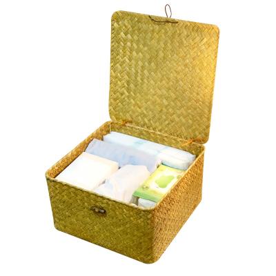 China Sustainable Hand - Woven Universal Plant Plankton Storage Basket Container With Lid For Office Home Decoration for sale