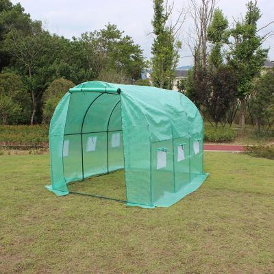 China TLSP165 agriculture low tunnel netting polytunnel greenhouse quality portable garden greenhouse home garden for sale