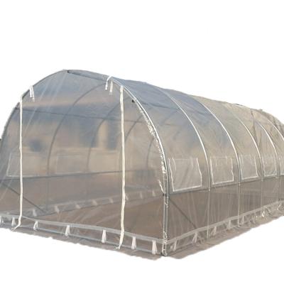 China TLSP169 high quality UV protected Transparent PE cover material insulated home garden/agricultural polytunnel greenhouse-9m2 for sale