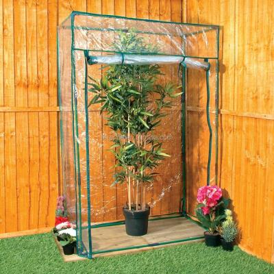 China 100x50x150cm Terence	PVC Tomato Greenhouse Powder Coated 100x50x150cm Steel for sale