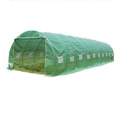 China 8 x 4 x 2.25M Larger Garden Greenhouse Tunnel Walk in polytunnel greenhouse for sale