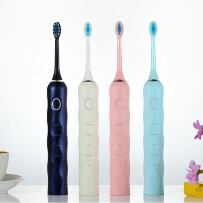 China 2022 New Trending Electric Toothbrush Battery Operated Teeth Brush Waterproof Replaceable Whitening Toothbrush IPX8 For Adult Unisex for sale