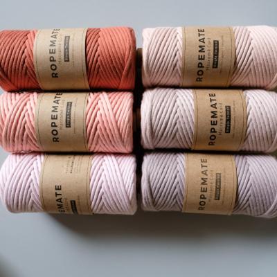 China 3mm Single Strand Rose Macrame Rope 1Ply Cotton Sustainable Premium Soft Rope 100 Meters Per Roll For Macrame Kit for sale