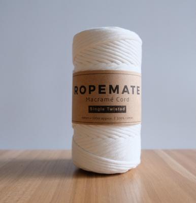 China 3mm Sustainable Single Strand Macrame Rope 1Ply White Premium Soft Cotton Rope 100 Meters Per Roll For DIY Craft for sale