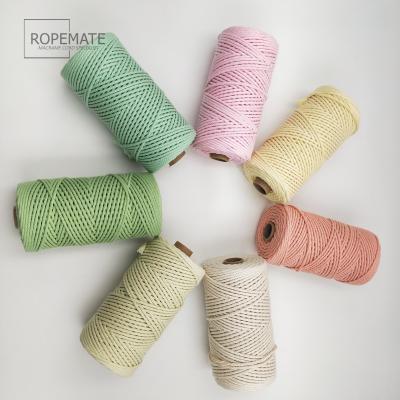 China Viable Wholesale Multicolor Twisted Macrame Rope Cotton Cord 3mm for sale