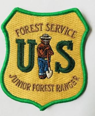 China Customized Embroidery Patch with back heating for clothing accessories and hat for sale