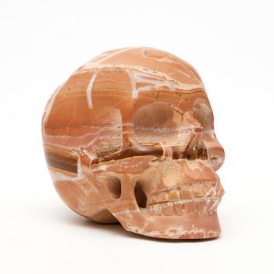 China China High Quality Goods Using Natural Healing Fengshui Crystal Skulls Of Various Needle Stone Skulls for sale