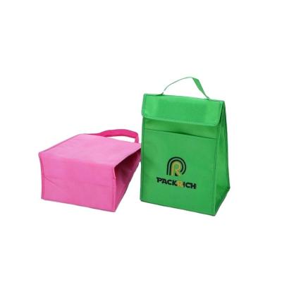 China Mini Picnic Insulated Thermal Bag Insulated Cooler For Box , Insulated Lunch Bag For Kid for sale