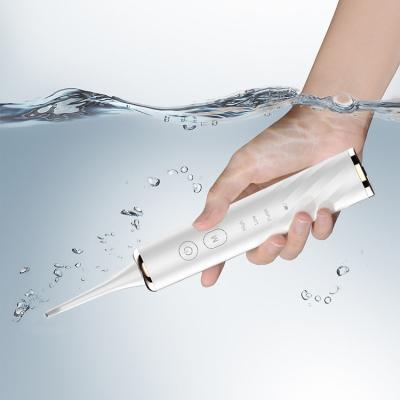 China Smart Water Booster Irrigator Waterpik Oral Flosser Teeth Cleaning Floss Selection Portable Irrigador Care Devices for sale