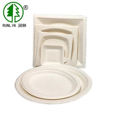 China Disposable Pulp Molded Sugarcane Bagasse Tray Party Dishes for sale