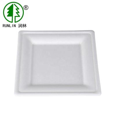 China Eco - Friendly Disposable Rectangular Birthday Cake Plate for sale