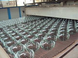 Verified China supplier - Rise & Shine (Imp. & Exp.) Co., Ltd.