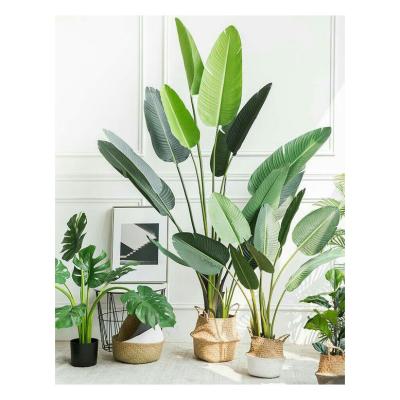 China PZ-2-1 Indoor Outdoor Decoration Garden Supplies Rigged Artificial Traveler Banana Tree Leaf Tall Decorative Trees For Modern Home Decor for sale