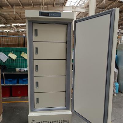 China Stable Temperature -25 Degree Medical Deep Freezer for Vaccine RNA DNA Storage deep freezers for sale