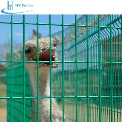 China Easily Assembled Hot Dipped Galvanized 3D Curved Mesh Fence Welded Wire  Mesh Fence for Corral Farm Animal for sale