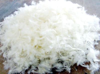 China Duck Feather For Quilt Filling Material Soft / Natural Allergy Free for sale