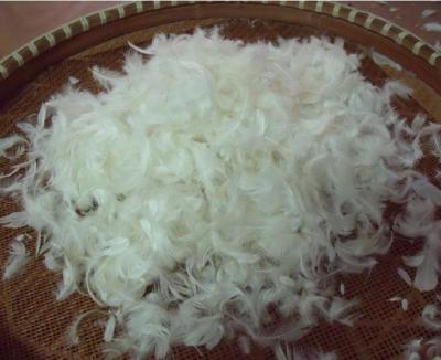 China High Filling Power Pillow Filling Materials White Duck Feather and Down for Comforter for sale