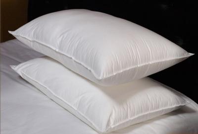 China Double Stitched Piping Cotton Down Feather Pillow Insert with White Goose Feather for sale