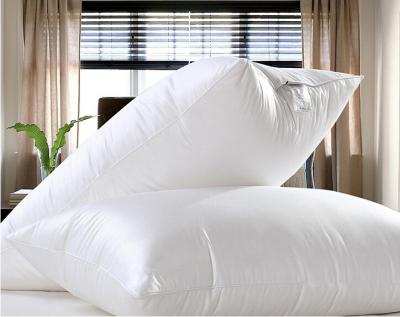 China 90% Duck Goose Feather Pillows Cotton Percale Pillow Insert Customized for sale