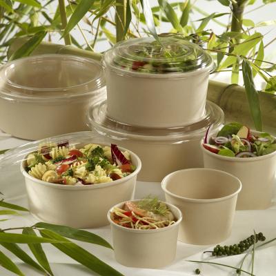 China 1000ml Biodegradable Takeout Bamboo Paper Salad Bowl With Clear PET Lid for sale