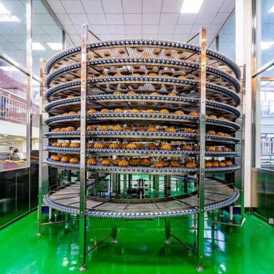 중국 Mutil Layer Bread Sus304 Spiral Cooling Conveyor 판매용