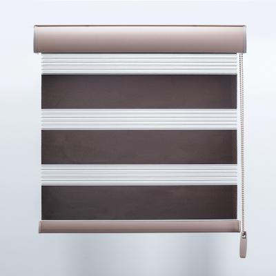 China Double Layer Manual Zebra Shade Minimalist Indoor Window Day And Night Blinds Blackout Roller Shades for sale