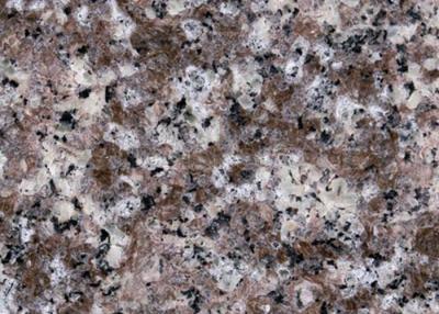 China Chinese G687 1800X 600mm Granite Countertop Slabs for sale