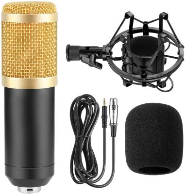 China Handheld Full Set of XLR Microphone BM 800 USB Condenser Microphone with Stand and Noise Filter for Computer Studio Recording for sale