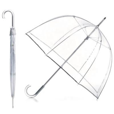 China Modern Fashionable Pure Clear Transparent White Edge PVC Straight Umbrella for sale